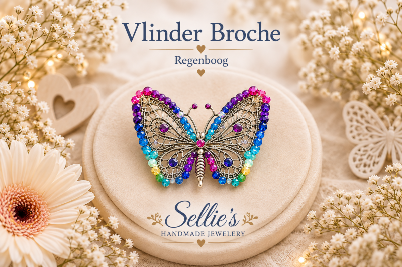 Regenboog vlinder broche