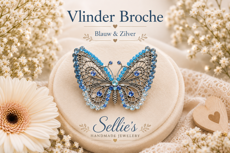 Magische vlinder broche
